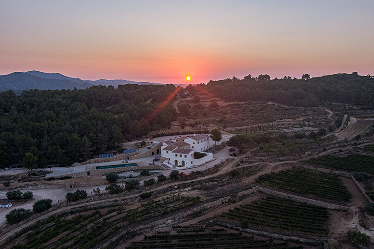 Aerial view of Masia Cabellut estate and vineyard.